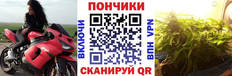 Шишки марихуана AK-47  omg ONION  Бикин  даркнет сайт 